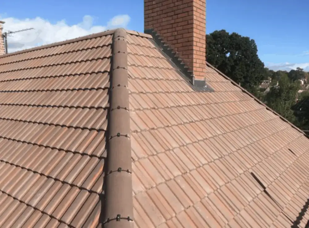 Vertex Roofline Detail